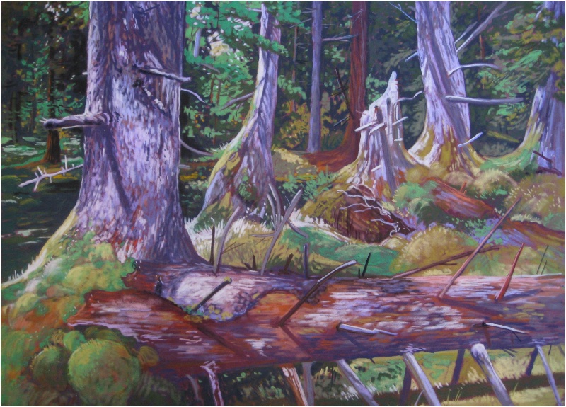 Forest Floor